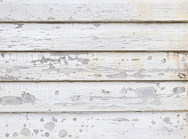 Best Steel Siding Installation  in Willow, AK